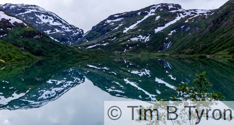 Reflections in lake